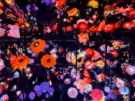 Maison Millefleurs