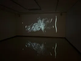 Solaris