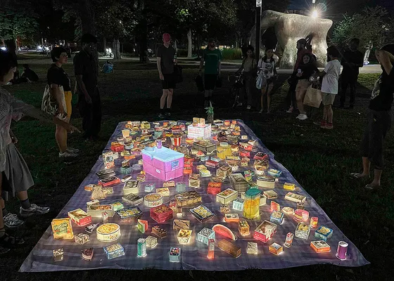 The Guest's Shadow